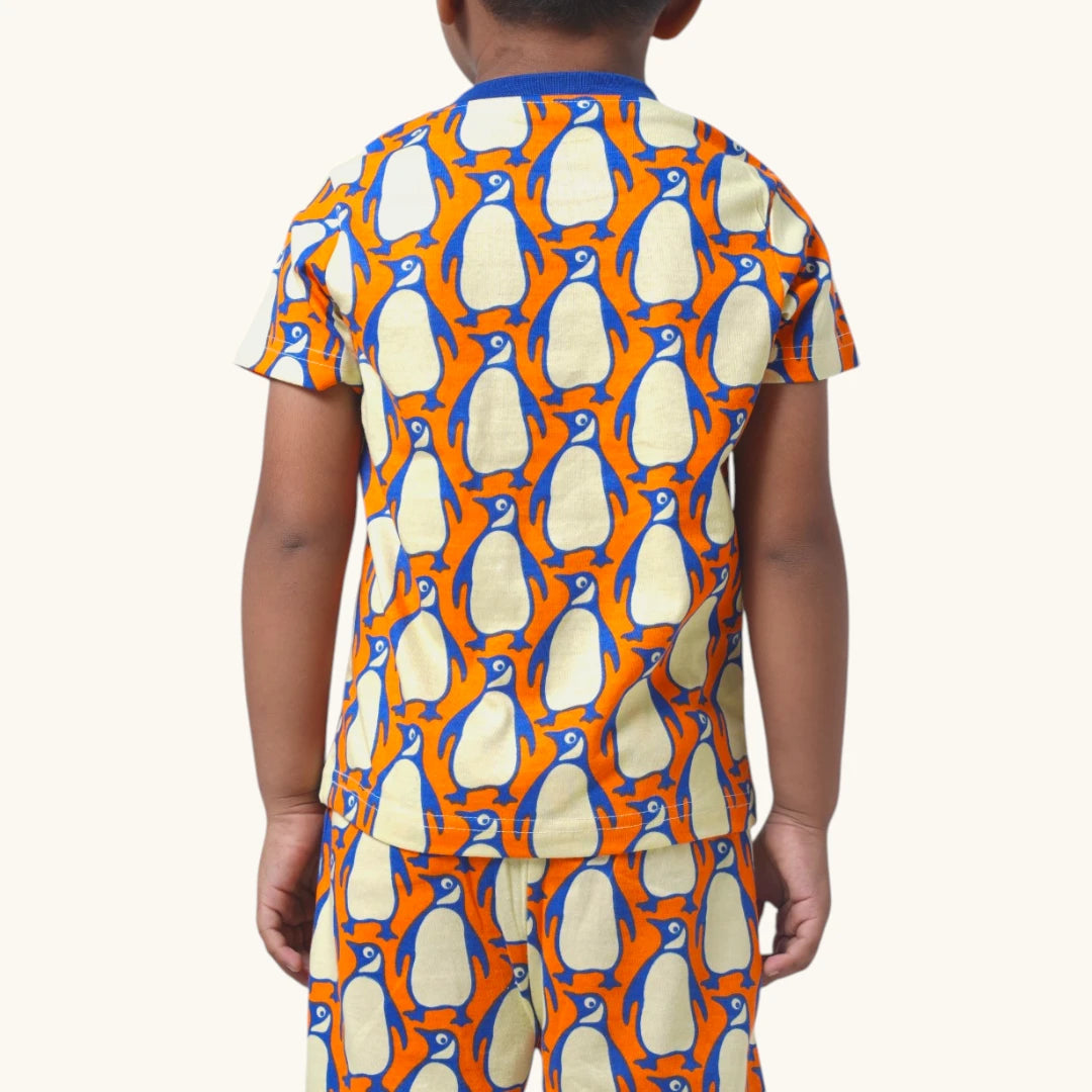 Boy's Penguin print night set
