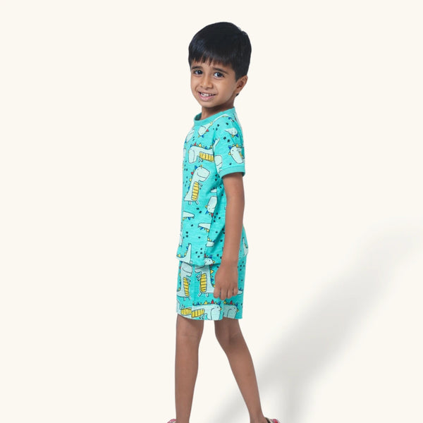 Boy's Dino Printed Night Set