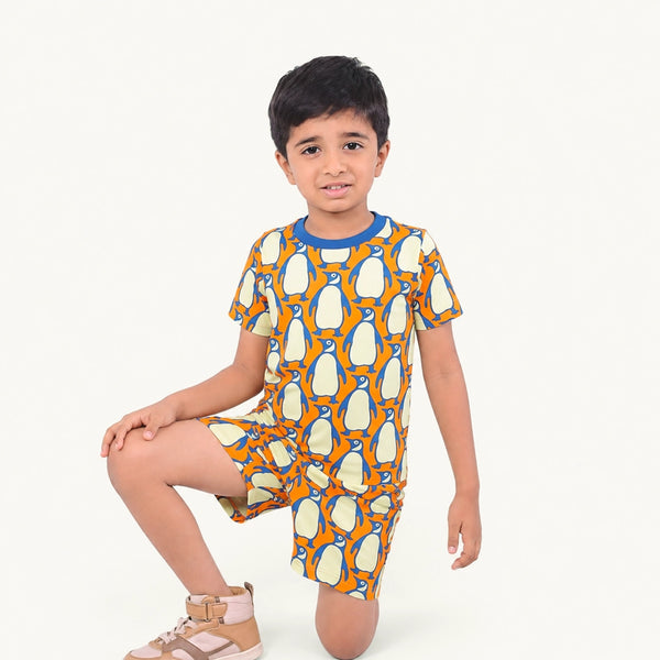 Boy's Penguin print night set