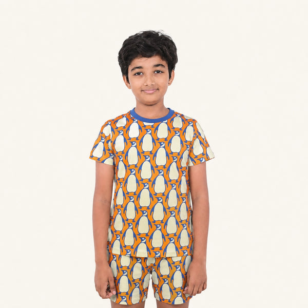 Boy's Penguin print night set