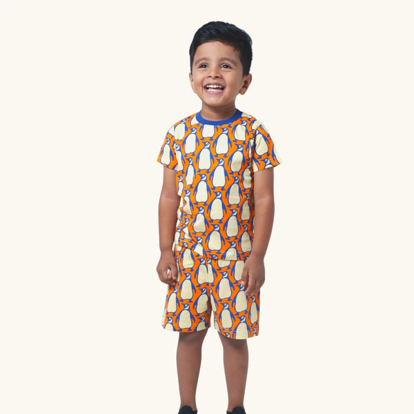 Boy's Penguin print night set
