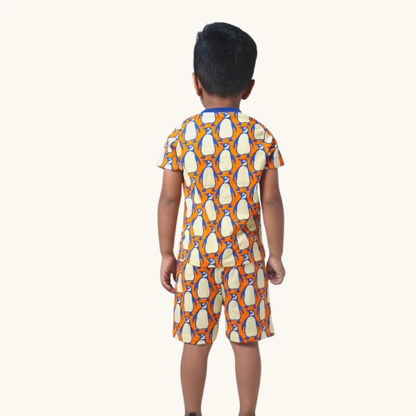 Boy's Penguin print night set