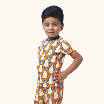 Boy's Penguin print night set