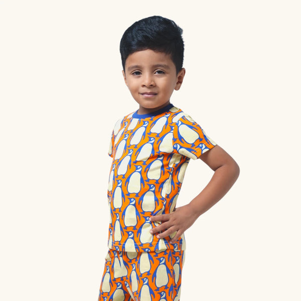 Boy's Penguin print night set