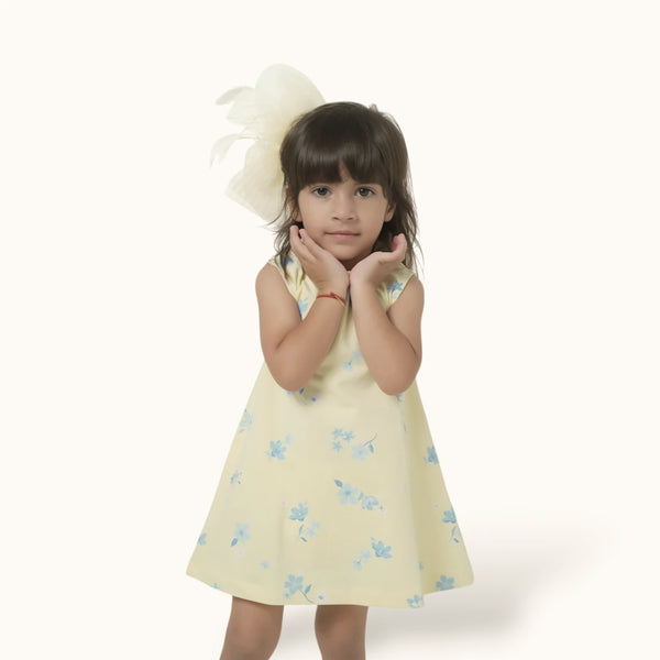 Yellow Blue Floral A-Line Frock